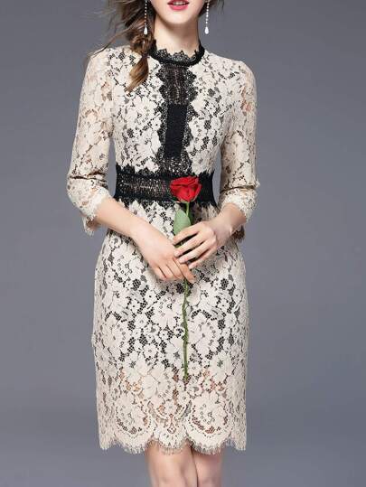 Color Block Lace Dress