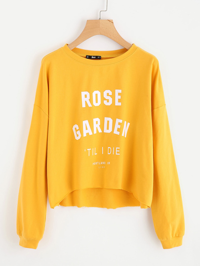 Raw Cut Dip Hem Drop Shoulder Pullover