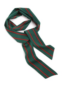 Vertical Striped Print Skinny Scarf