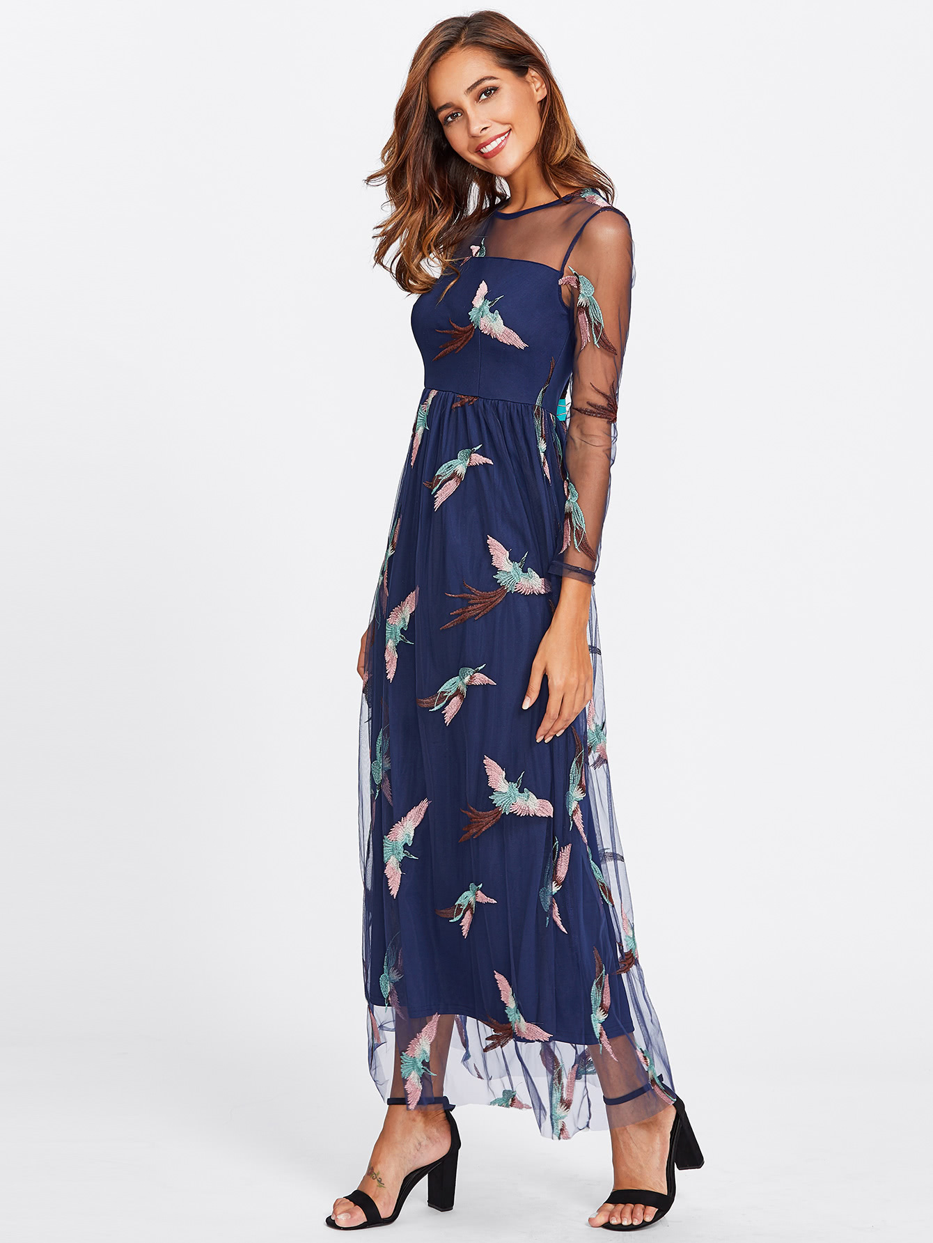 Illusion Neck Embroidered Mesh Overlay Dress SheIn(Sheinside)