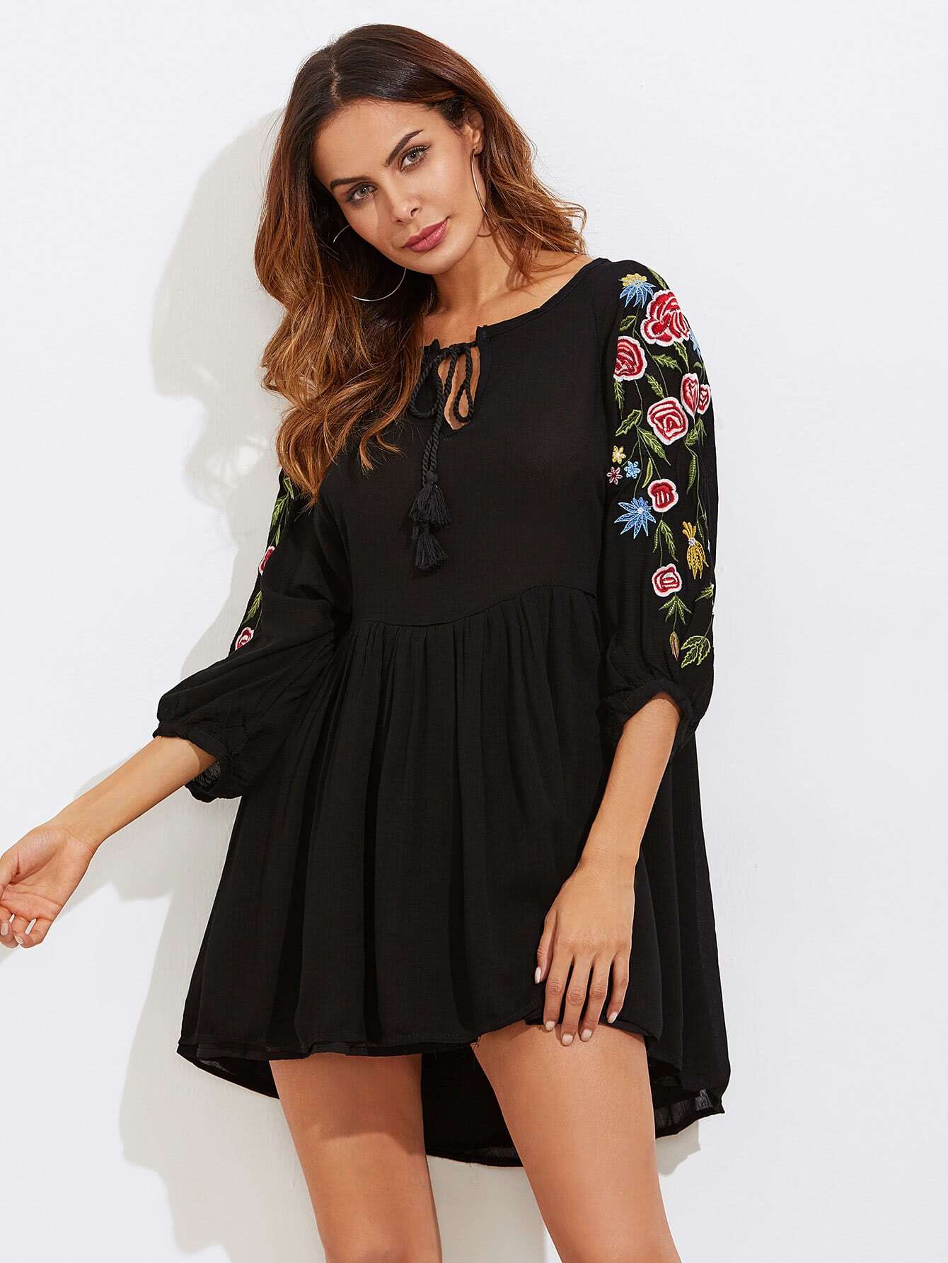 Flower Embroidery Tassel Tie Babydoll Dress SheIn(Sheinside)