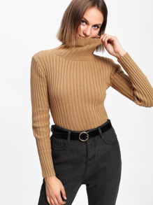 Rib Knit Turtleneck Sweater