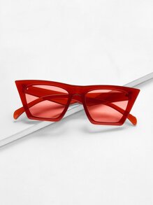 Plain Frame Cat Eye Sunglasses