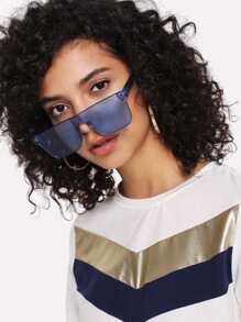 Flat Top Tinted Lens Sunglasses