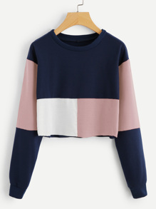 Colorblock Crop Sweatshirt