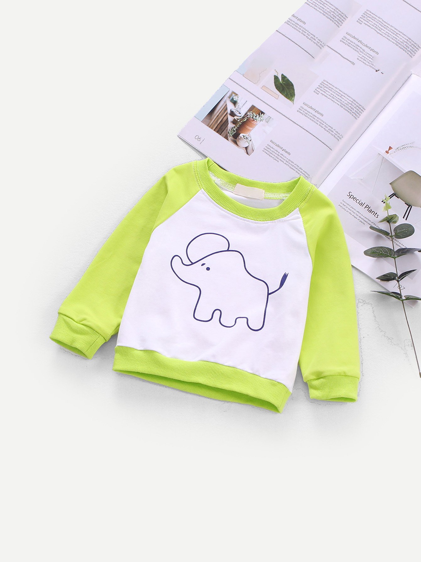 Boys Contrast Raglan Sleeve Cartoon Print Sweatshirt