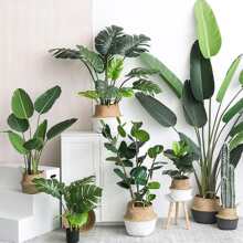 1 Branch Artificial Leaf