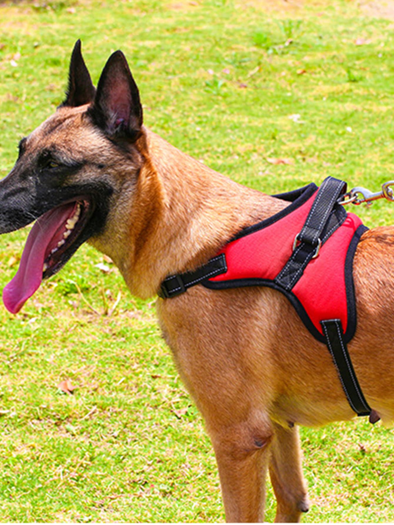 1pc Release Buckle Dog Harness With 1pc Leash