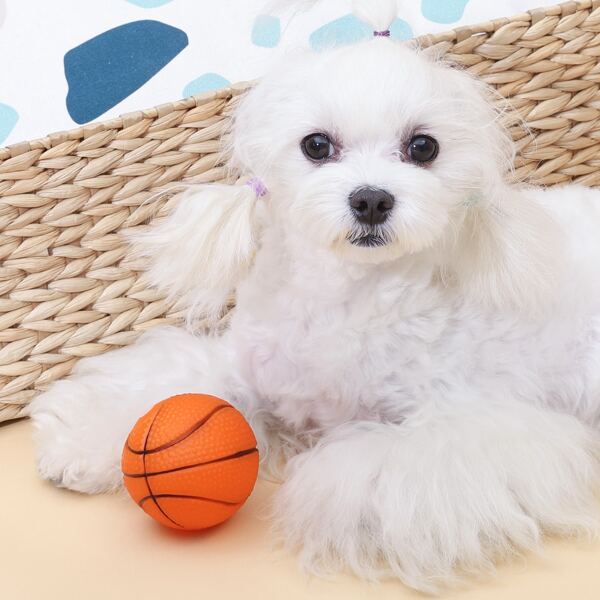 Basketball Shaped Dog Sound Toy, Orange