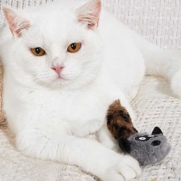 Raccoon Shaped Plush Cat Toy, Multicolor