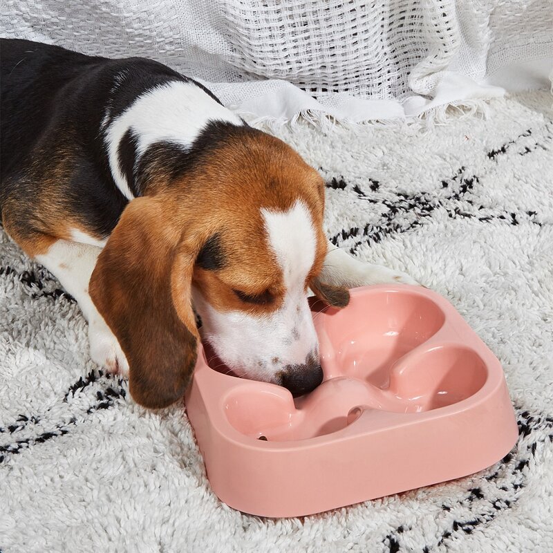 Four-leaf Clover Shaped Solid Dog Bowl, Pink 
Four-leaf Clover Shaped Solid Dog Bowl, Pink