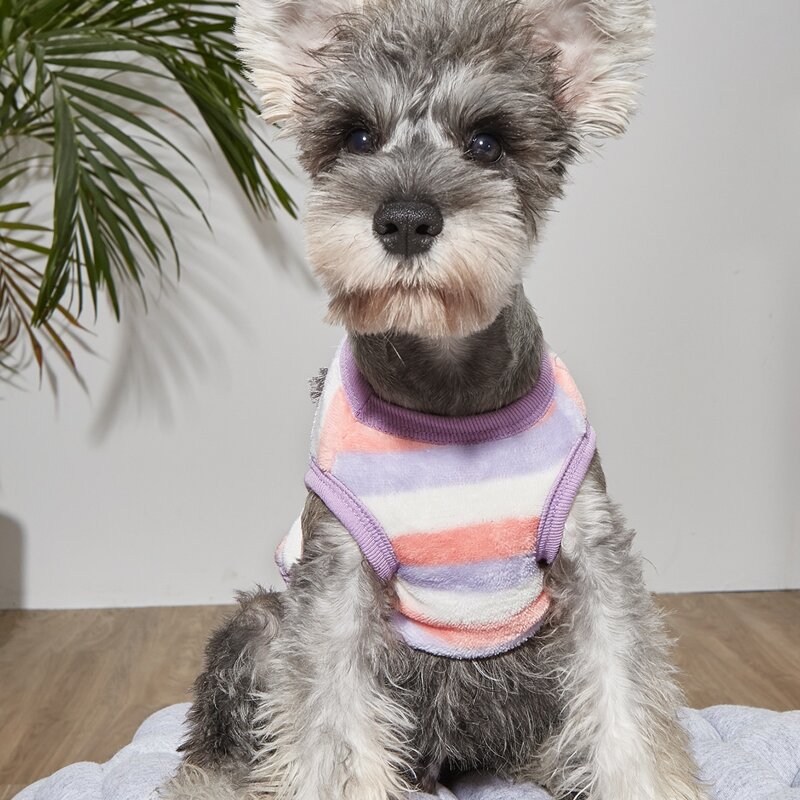 Colorful Striped Pet Tank, Multicolor 
Colorful Striped Pet Tank, Multicolor