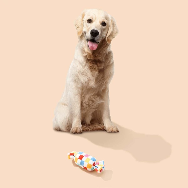 Candy Shaped Pet Sound Toy, Multicolor