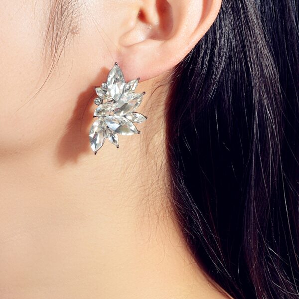 Rhinestone Decor Stud Earrings, Clear