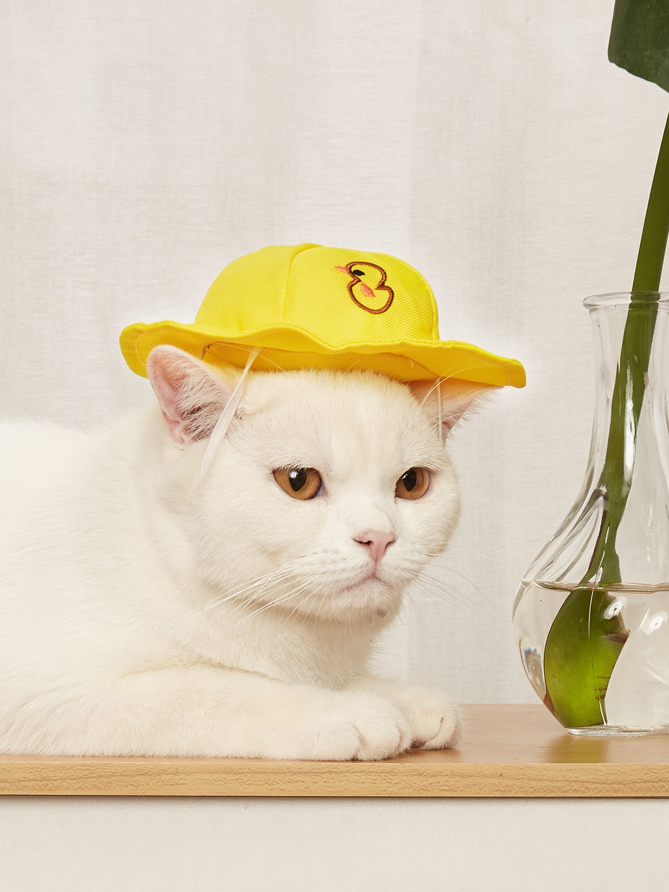 Duck Pattern Pet Hat