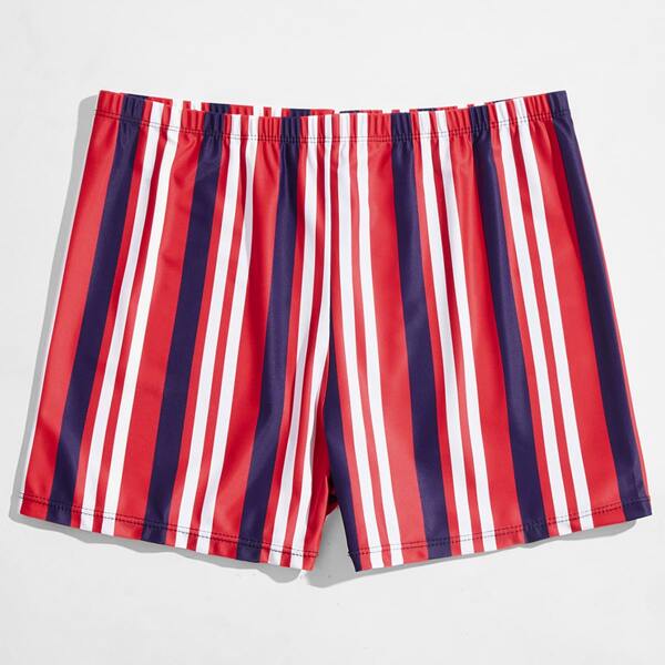 Men Striped Swim Trunks, Multicolor