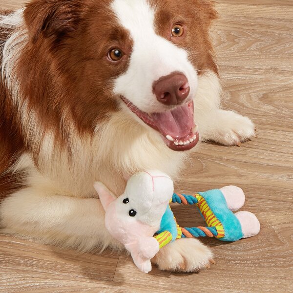 Cartoon Plush Pet Sound Toy, Blue