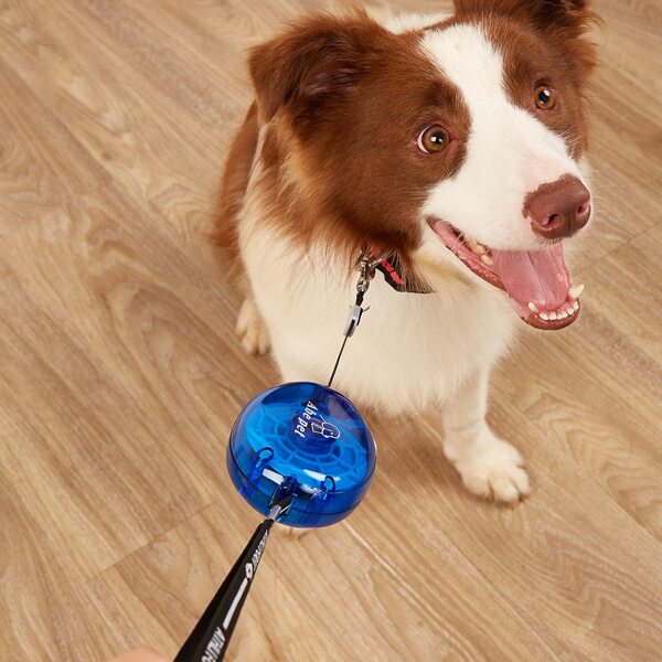 Retractable Pet Leash, Blue