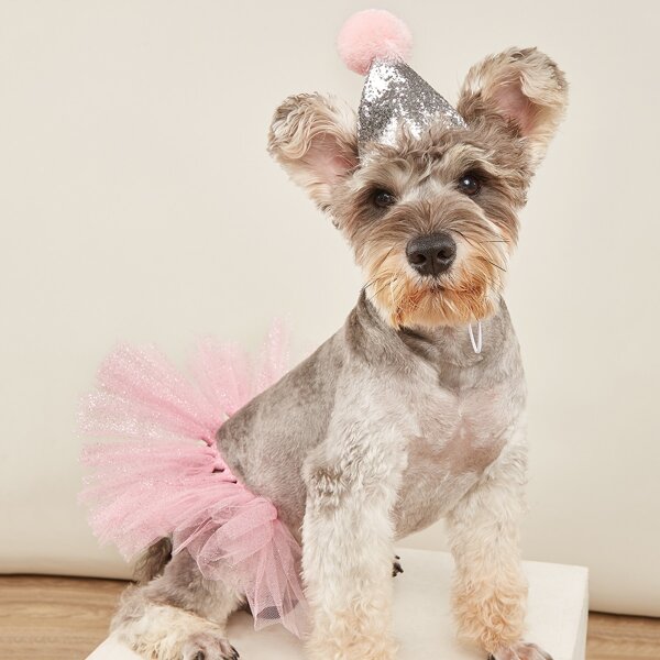 2pcs Pet Hat & Skirt Set, Pink
