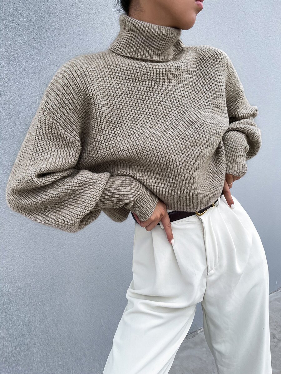 SHEIN Clasi Solid High Neck Drop Shoulder Crop Sweater