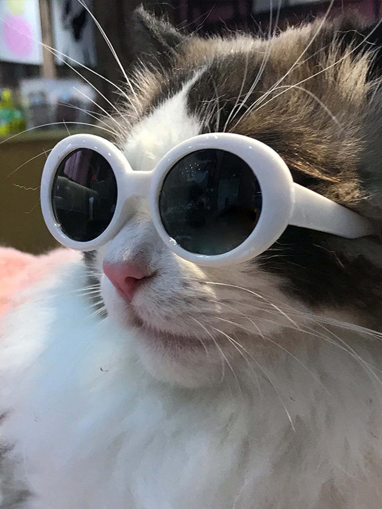 1pc Tinted Lens Pet Glasses