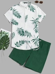 Verde Scuro