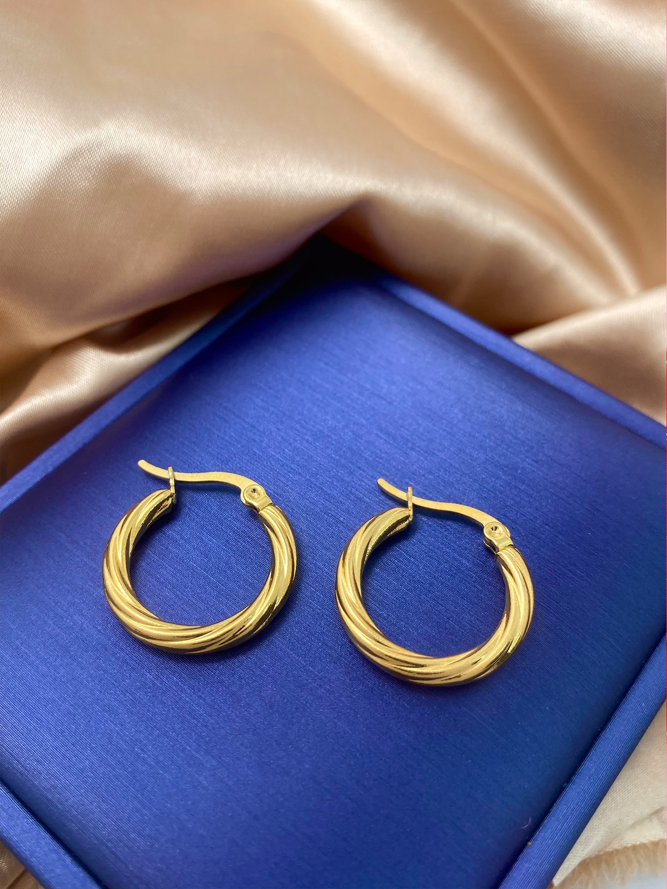 Stainless Steel Hoop Earrings