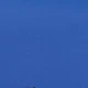 azul real