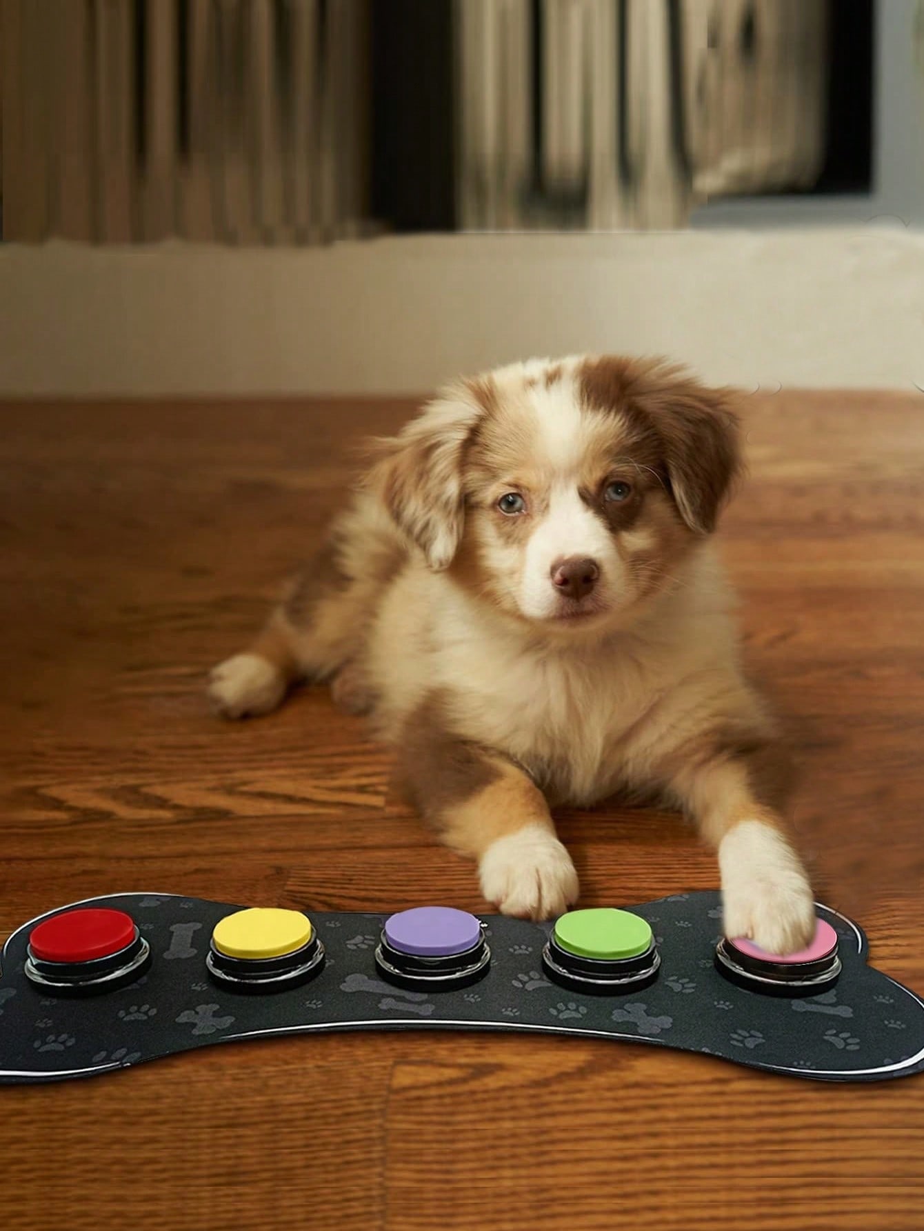 1set Electronic Random Color Recording Button Pet Toy For Dog And Cat