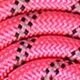 Rosa Fucsia