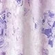 Viola malva