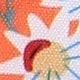 Multicolorido