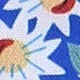 Azul e branco