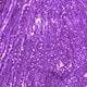 Lilac Purple