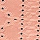 Coral Pink