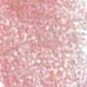 Rosa coral