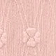 Rosa coral