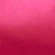 Rosa Fucsia