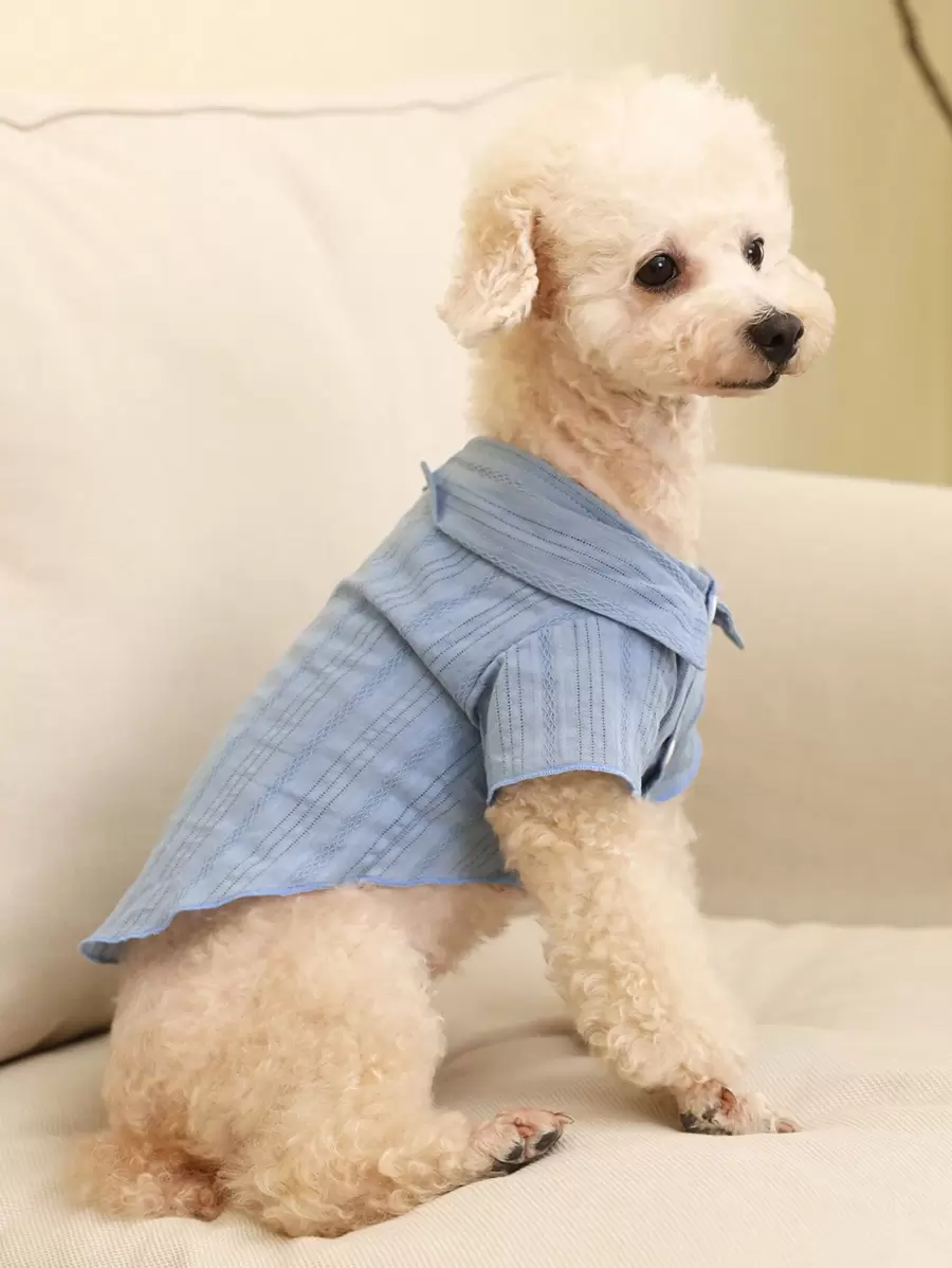 PETSIN PETSIN 1 pieza Camisa de mascota neblina azul