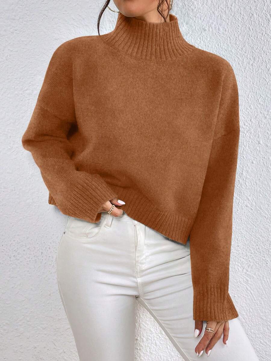 SHEIN LUNE Hoge hals Oversized Truien