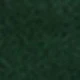Ciemnozielony