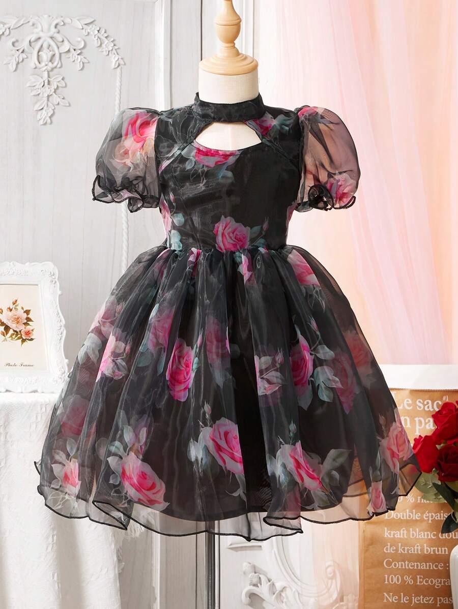 SHEIN Glamorique Kids Kleid Mit Floralen Druck Für Junge Mädchen Mit Ausgeschnittener Mock-hals Puffärmel Und Mesh