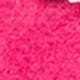 Rosa Fucsia