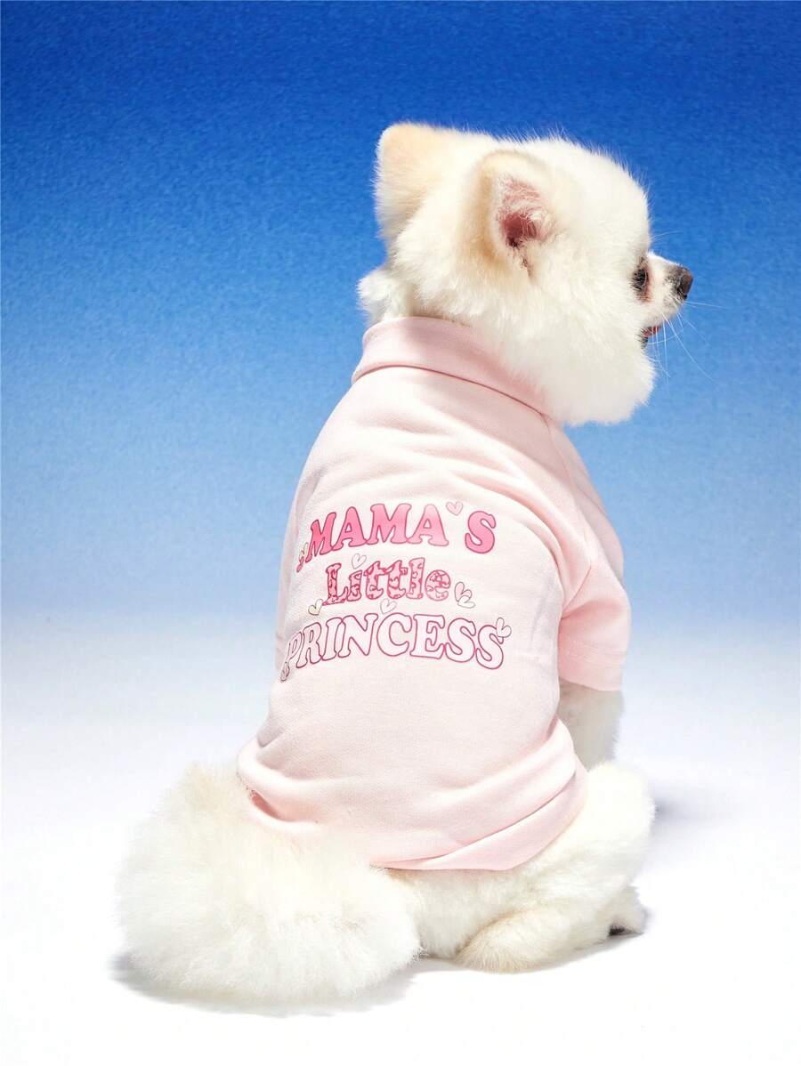 PETSIN Cute Letter Printed Pink Unisex Pet Hoodie For Cats And Dogs