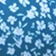 Blu e Bianco