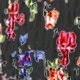 Multicolor