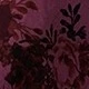 Rojo violeta