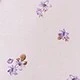 Viola malva
