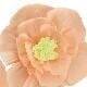 Rose pâle