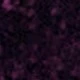 Prune